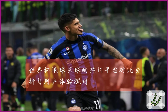 世界杯滚球买球的热门平台对比分析与用户体验探讨